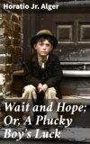 Wait and Hope; Or, A Plucky Boy's Luck