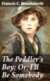 The Peddler's Boy; Or, I'll Be Somebody