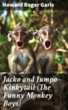 Jacko and Jumpo Kinkytail (The Funny Monkey Boys)