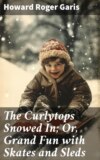 The Curlytops Snowed In; Or, Grand Fun with Skates and Sleds