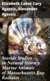 Seaside Studies in Natural History. Marine Animals of Massachusetts Bay. Radiates