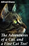 The Adventures of a Cat, and a Fine Cat Too!