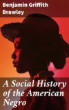 A Social History of the American Negro