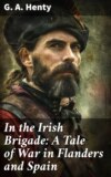 In the Irish Brigade: A Tale of War in Flanders and Spain