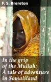 In the grip of the Mullah: A tale of adventure in Somaliland