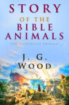 Story of the Bible Animals