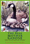 The Real Mother Goose