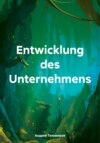 Entwicklung des Unternehmens