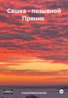 Сашка – позывной Пряник