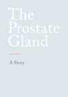 The Prostate Gland