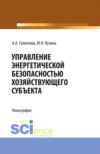 Управление энергетической безопасностью хозяйствующего субъекта. (Бакалавриат, Магистратура). Учебно-методическое пособие.