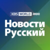 Новости - 2023.11.02