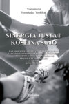 Sinergia Justa(R) - Koseina Sojo