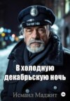 В холодную декабрьскую ночь