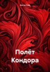 Полёт Кондора