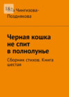 Черная кошка не спит в полнолунье. Сборник стихов. Книга шестая