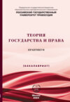 Теория государства и права. Практикум (Бакалавриат)