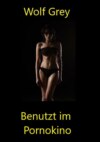 Benutzt im Pornokino