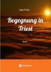 Begegnung in Triest - Ein spannender Politthriller