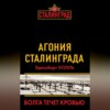 Агония Сталинграда. Волга течет кровью