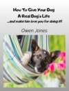 How To Give Your Dog A Real Dog`s Life