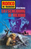 Ronco - Die Tagebücher 33: Entscheidung in Mexiko