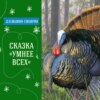 Сказка "Умнее всех" (Д.Н.Мамин-Сибиряк) | Аудиокниги для детей