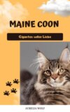 Maine Coon