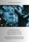 Baummystik:  Die verborgenen Seelen der Natur