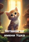 Котенок по имени Ушка