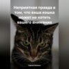 Неприятная правда в том, что ваша кошка может не хотеть вашего внимания