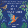 Call of the Kingfisher - Bright sights and birdsong in a year by the river (Unabridged)