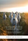 Die Seele der Camargue:  Wo Natur und Kultur  aufeinandertreffen