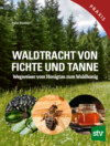 Waldtracht von Fichte und Tanne