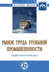 Рынок труда угольной промышленности (профессиональный срез)