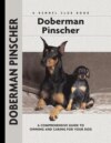 Doberman Pinscher