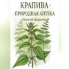 Крапива – природная аптека
