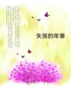 失落的年華