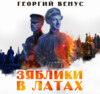 Зяблики в латах