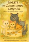 Котята из Солнечного дворика. Сказки про богатство сердца и разума