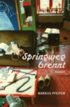 Springweg brennt
