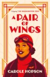 A Pair of Wings