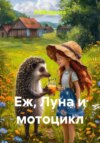 Еж, Луна и мотоцикл