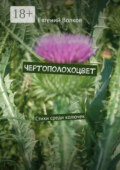 Чертополохоцвет. Стихи среди колючек
