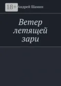 Ветер летящей зари - Андрей Васильевич Шамин