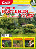 Любимая дача. Спецвыпуск №05\/2019. Хвойные растения в вашем саду