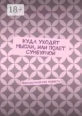 Куда уходят мысли, или Полет Сумбурной. Фантастическая повесть - Александр Гайворонский