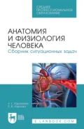 Анатомия и физиология человека. Сборник ситуационных задач. Учебное пособие для СПО - К. Г. Караханян