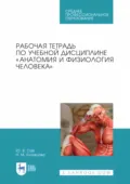 Рабочая тетрадь по учебной дисциплине «Анатомия и физиология человека». Учебное пособие для СПО - Н. М. Кузнецова