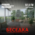 Сушим весла. В Петербурге не хватает воды для развития гребного спорта?